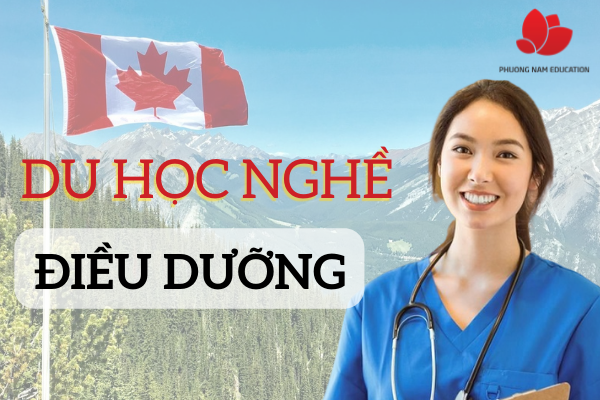 Nhu cầu nghề Điều dưỡng tại Canada đang ngày một tăng cao